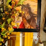 Casa D' Artista