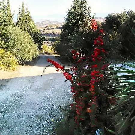 Bed & Breakfast Casa D' Artista Ozieri