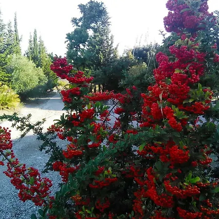 Bed & Breakfast Casa D' Artista