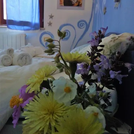 Casa D' Artista Ozieri