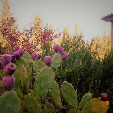 Bed & Breakfast Casa D' Artista 4*