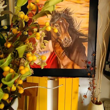 Casa D' Artista