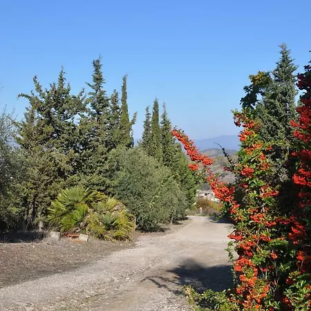 Bed & Breakfast Casa D' Artista 4*