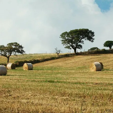 Casa D' Artista Bed & Breakfast