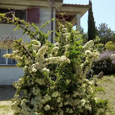 Bed & Breakfast Casa D' Artista