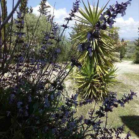 Nocleg ze śniadaniem Casa D' Artista 4*