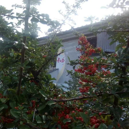 Casa D' Artista 4* Ozieri