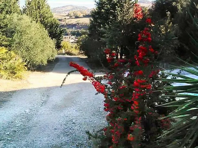 Oda ve Kahvaltı Casa D' Artista Ozieri